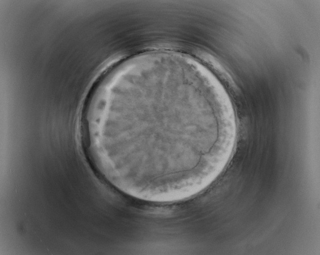 X0000116021229200912312146