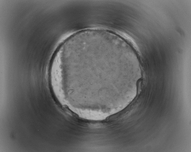 X0000116021231200912312146