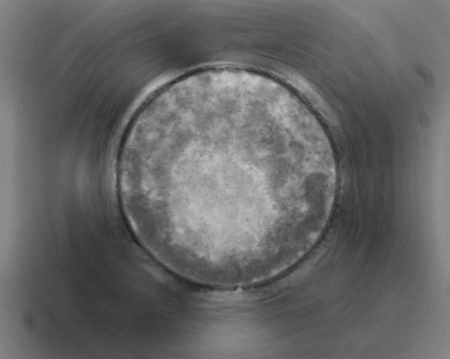 X0000116021232200912312146