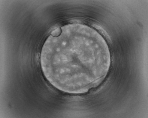 X0000116021233200912312146