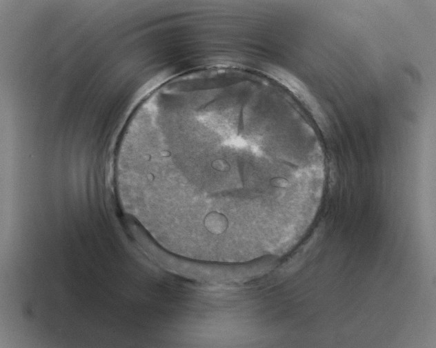 X0000116021234200912312146