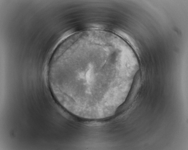 X0000116021235200912312146