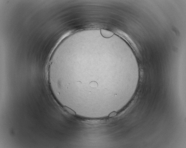 X0000116021236200912312146