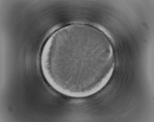 X0000116021237200912312146