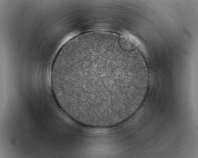 X0000116021238200912312147