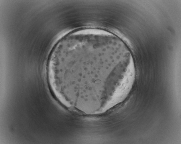 X0000116021239200912312147