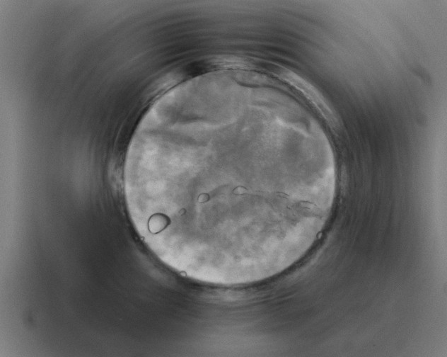 X0000116021241200912312147