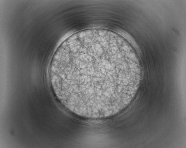 X0000116021242200912312147