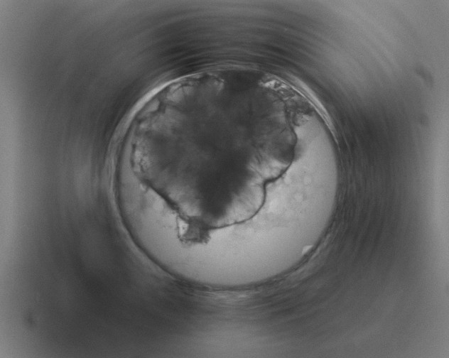 X0000116021243200912312147