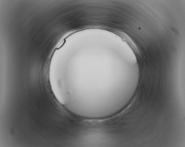 X0000116021244200912312147