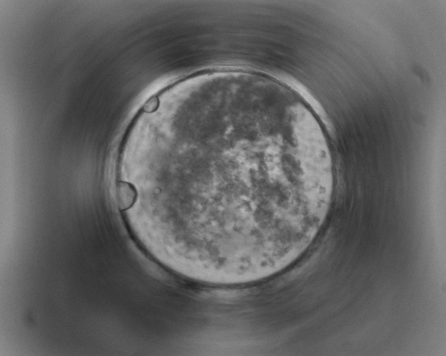 X0000116021245200912312147