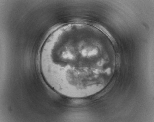 X0000116021247200912312147