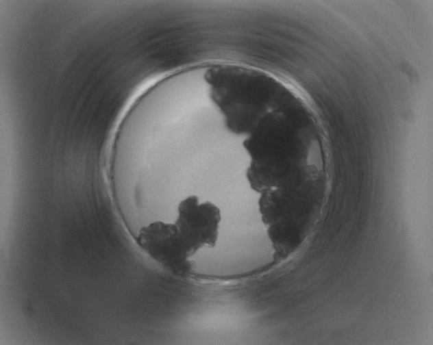 X0000116021248200912312147