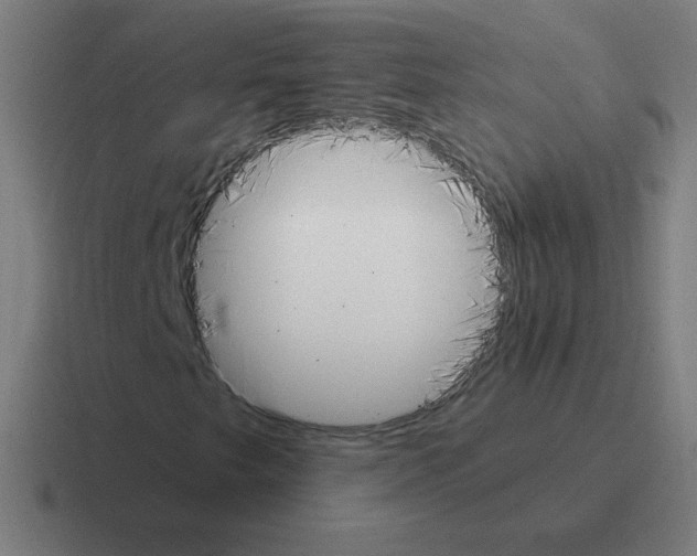 X0000116021249200912312146