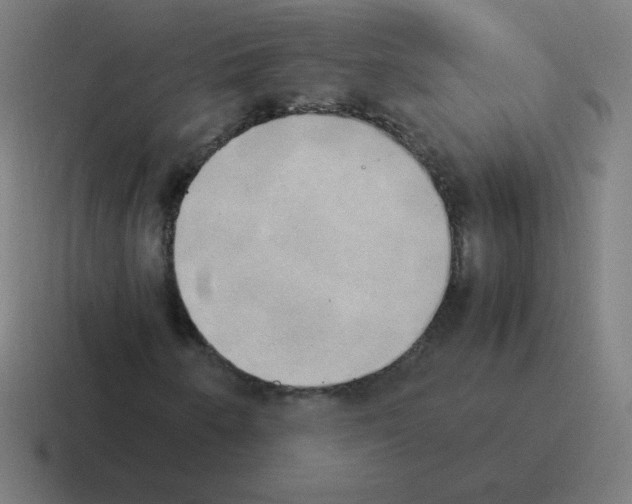 X0000116021250200912312146