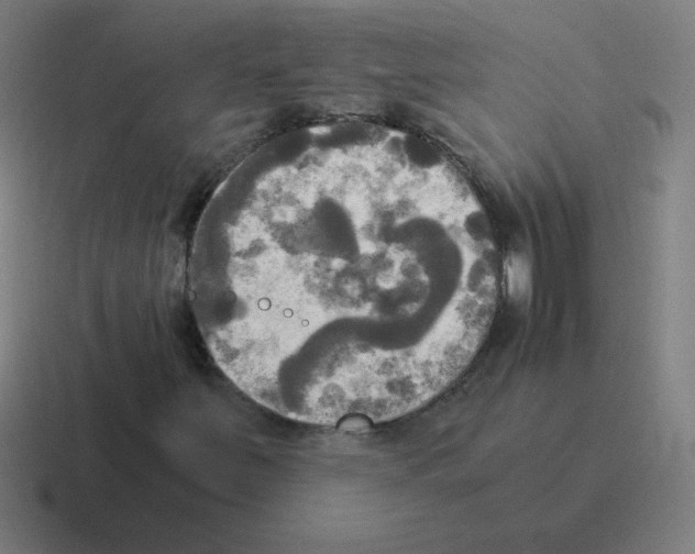 X0000116021251200912312146