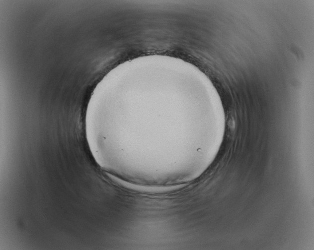 X0000116021252200912312146