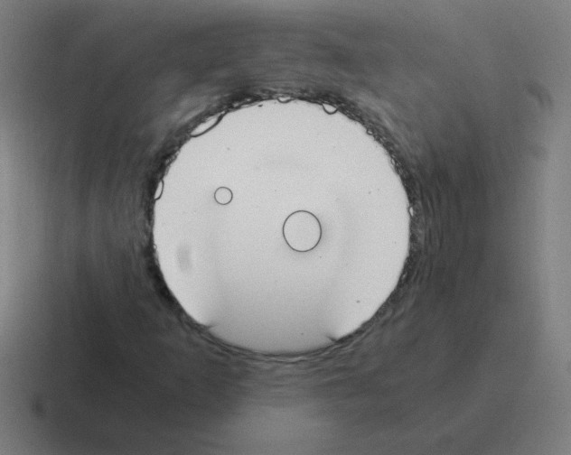 X0000116021253200912312146