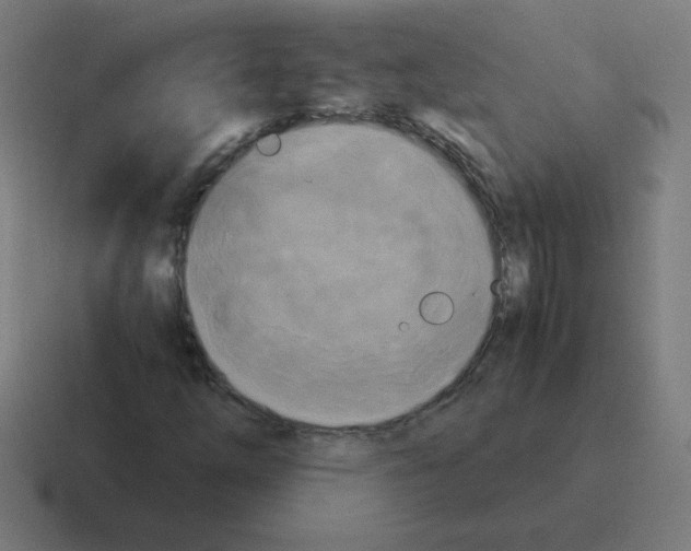 X0000116021254200912312146