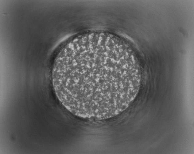 X0000116021255200912312146