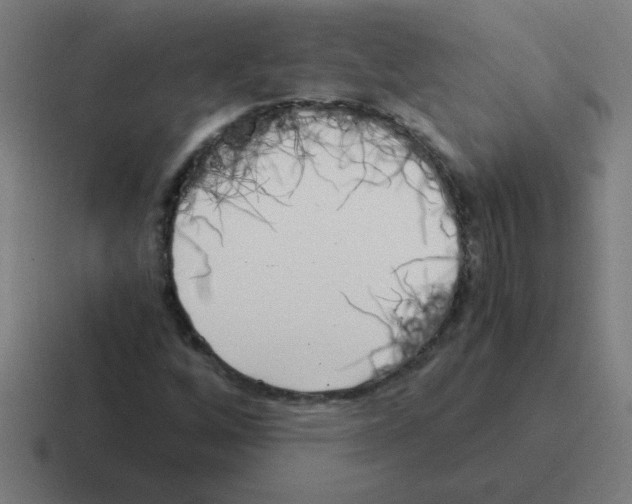 X0000116021256200912312146