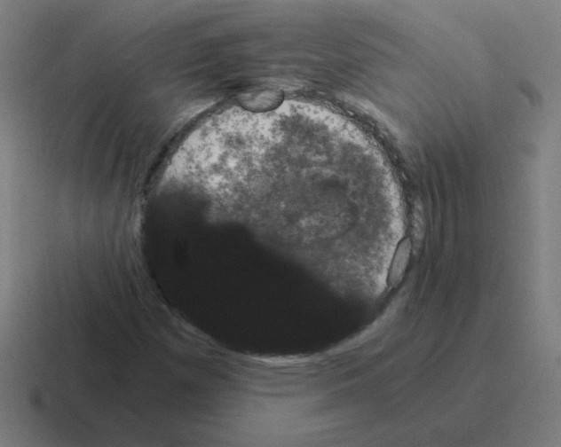 X0000116021257200912312146