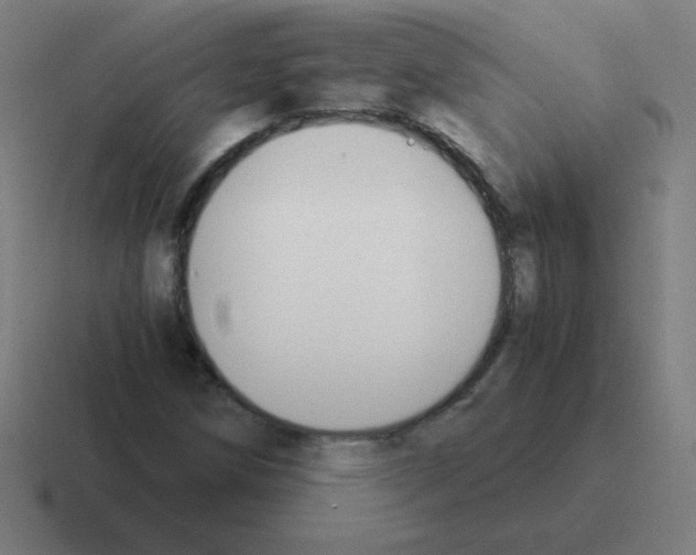 X0000116021258200912312146