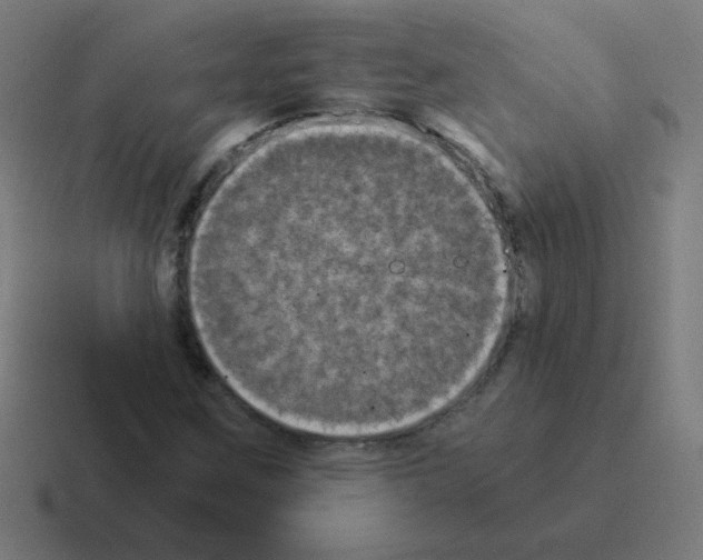 X0000116021259200912312146