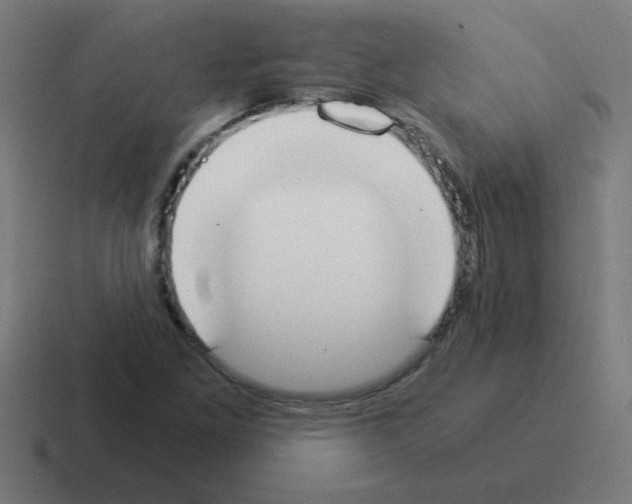 X0000116021261200912312146