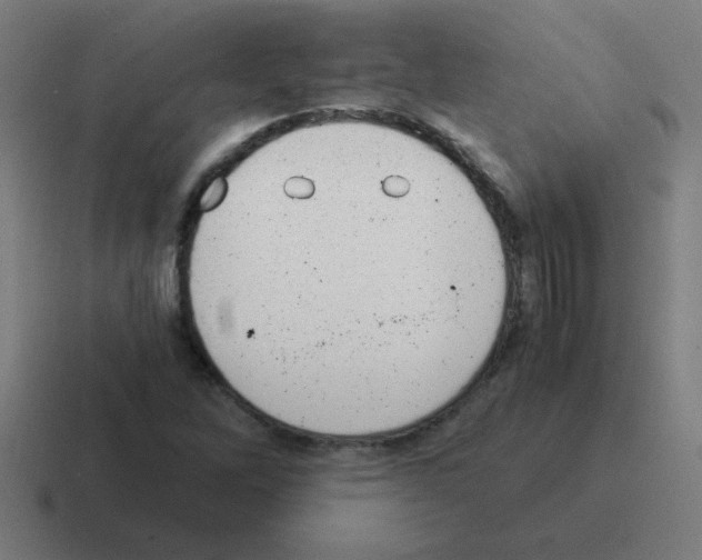 X0000116021262200912312146