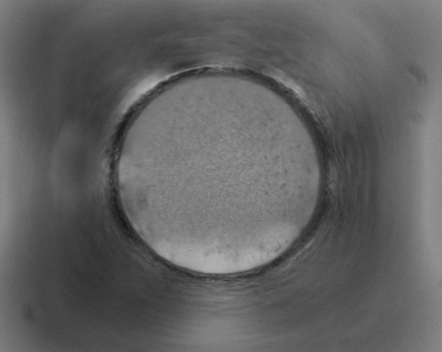 X0000116021263200912312146