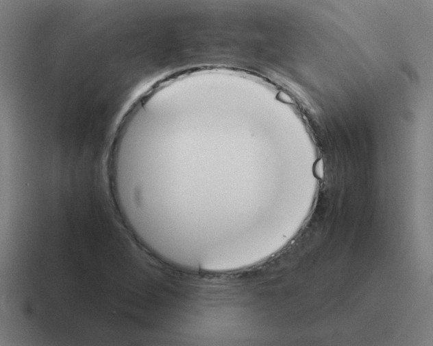 X0000116021264200912312146