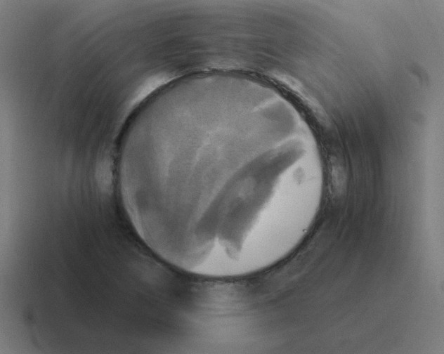 X0000116021266200912312146