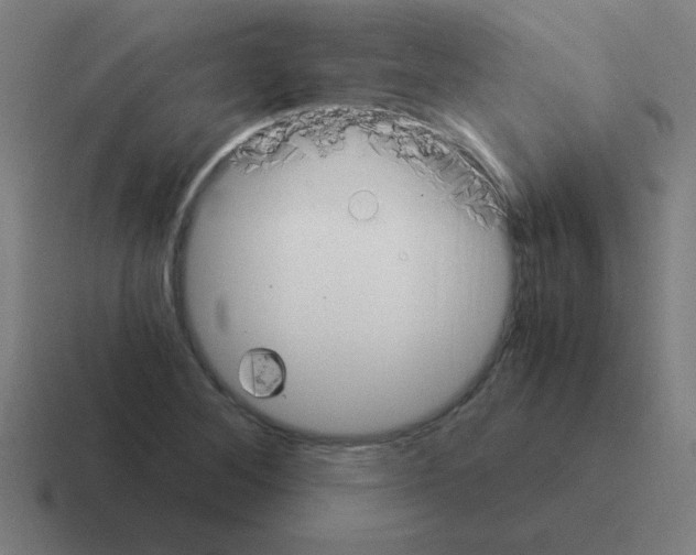 X0000116021268200912312146