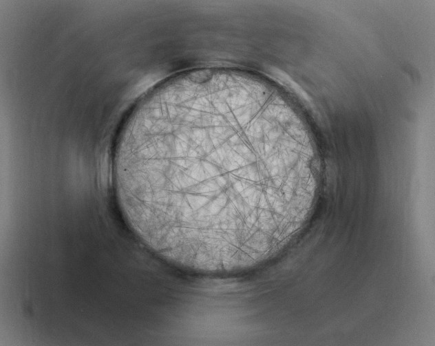 X0000116021269200912312146