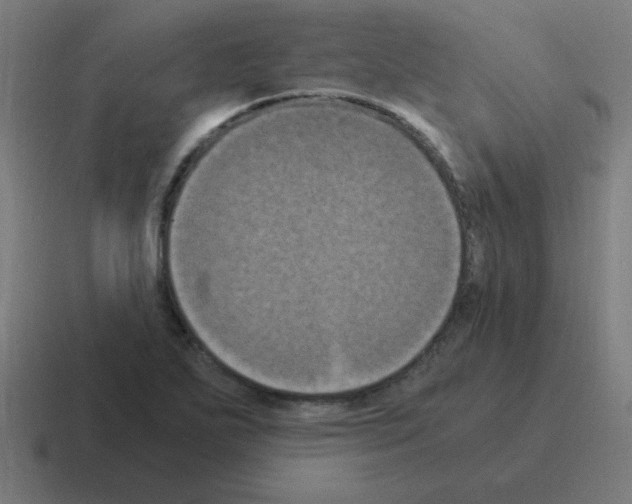 X0000116021271200912312146