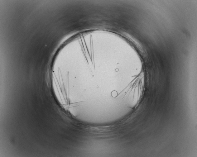 X0000116021272200912312146