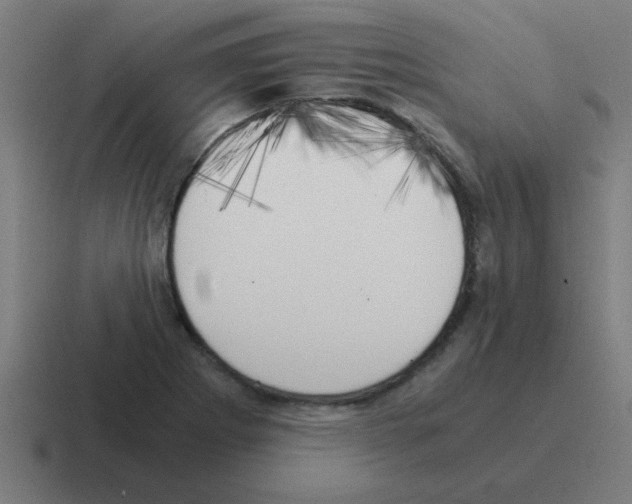 X0000116021273200912312146