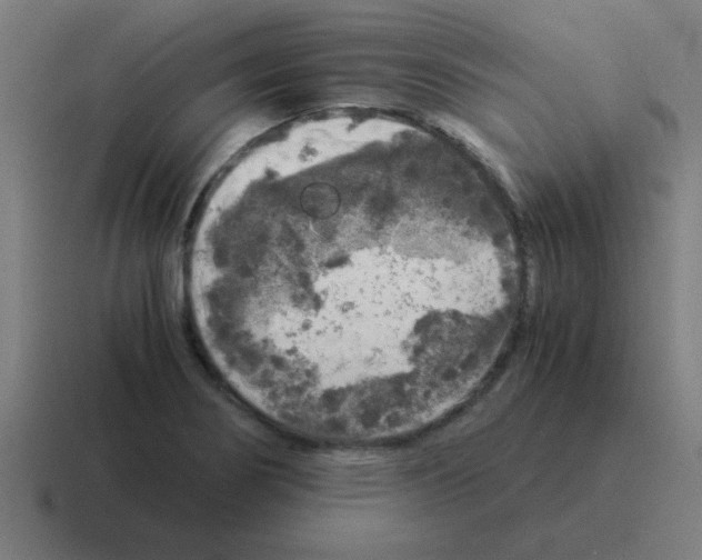 X0000116021274200912312146