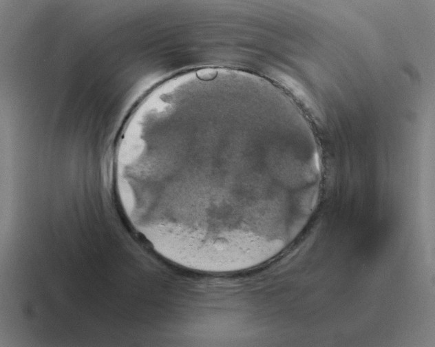 X0000116021275200912312146