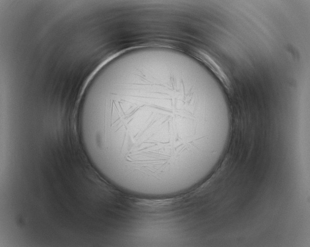 X0000116021276200912312146