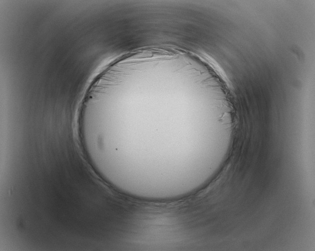 X0000116021277200912312146