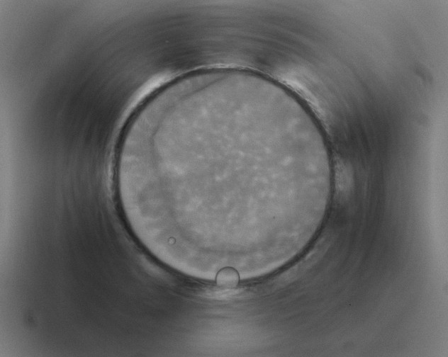 X0000116021278200912312146