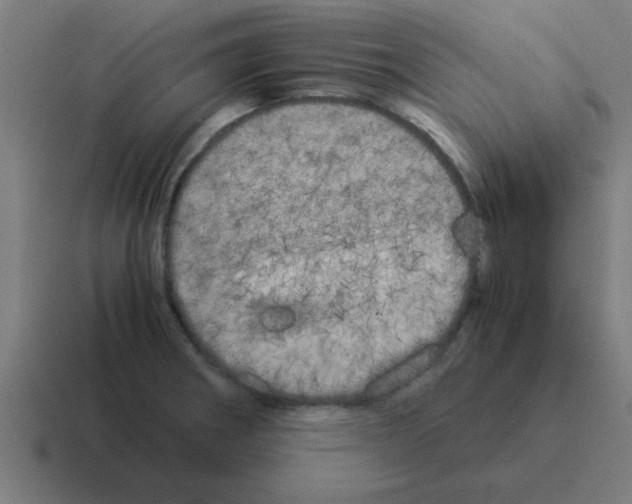 X0000116021282200912312146