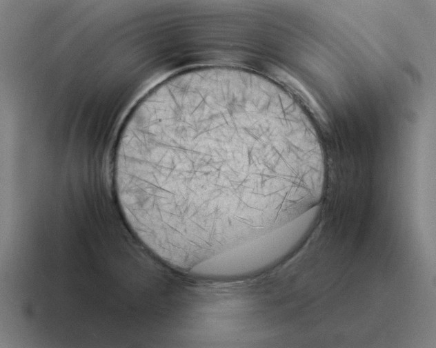 X0000116021284200912312146