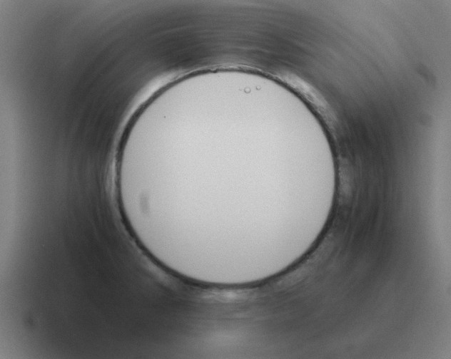 X0000116021286200912312146