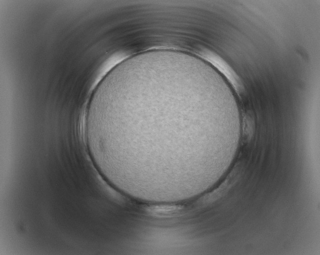 X0000116021290200912312146