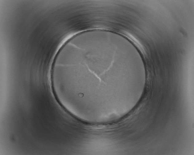 X0000116021291200912312146