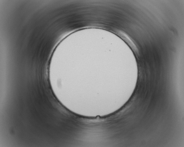 X0000116021292200912312145