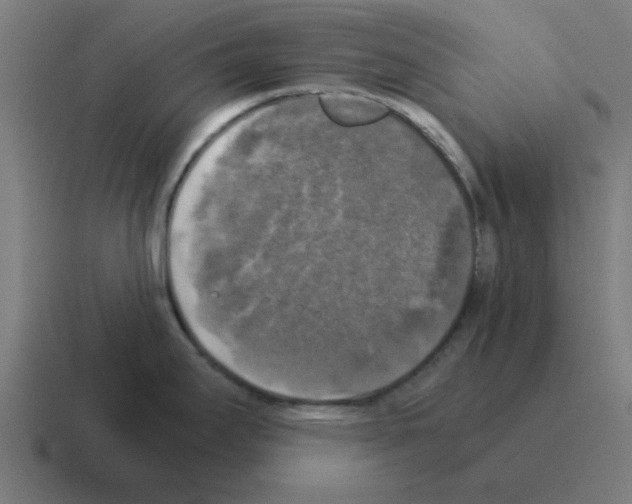 X0000116021295200912312145